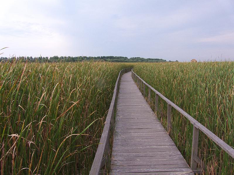 Vizisétány Vizisétány